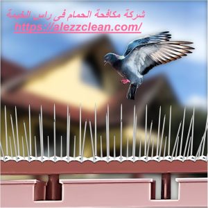 [صورة: %D8%B4%D8%B1%D9%83%D8%A9-%D9%85%D9%83%D8...00x300.jpg]