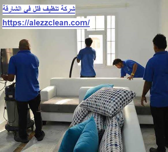 شركة تنظيف فلل في الشارقة