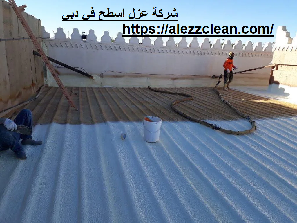 شركة عزل اسطح في دبي