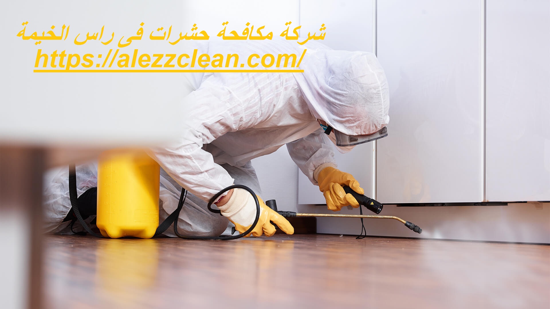 شركة مكافحة حشرات فى راس الخيمة