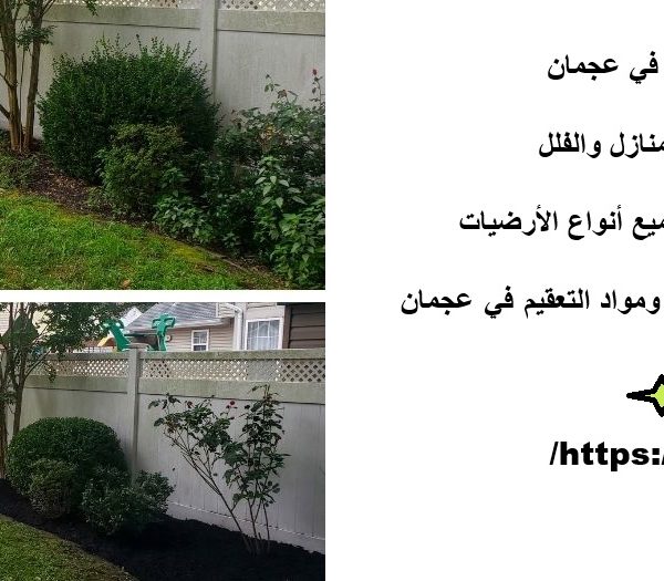 شركة تنظيف الاحواش في عجمان