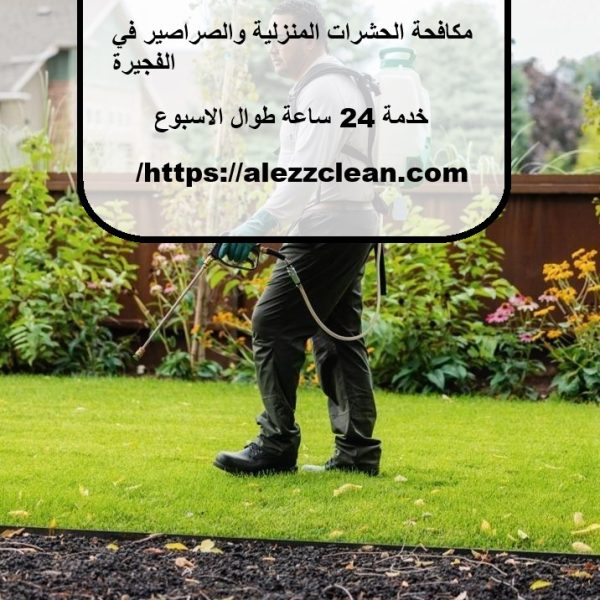 شركة مكافحة الحشرات الفجيرة