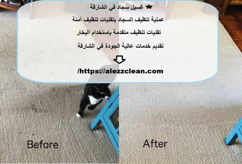غسيل سجاد في الشارقة