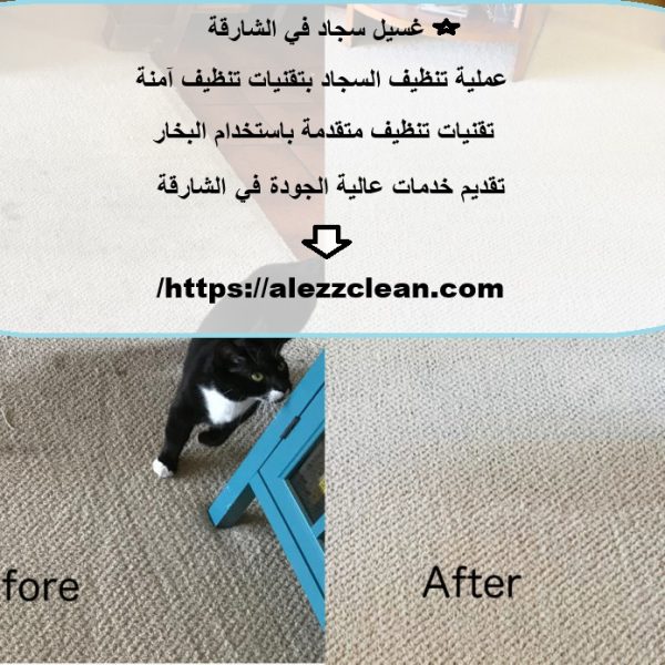 غسيل سجاد في الشارقة